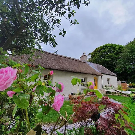 The Thatched